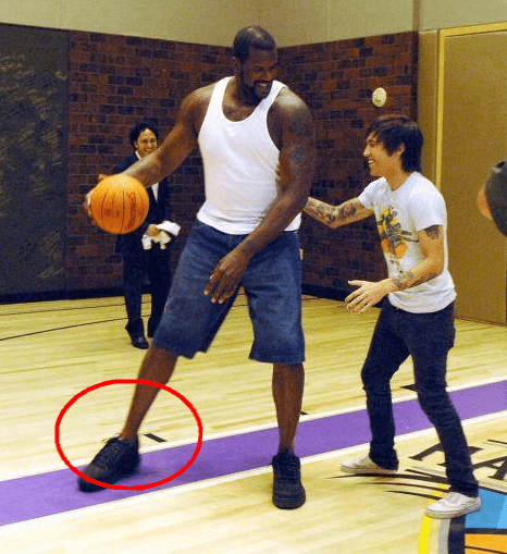 德转列多特历史最贵阵：哈兰德领衔，贝林、桑乔、罗伊斯上榜（德转评多特史上最贵阵容：哈兰德压阵，贝林厄姆、桑乔、罗伊斯入选）